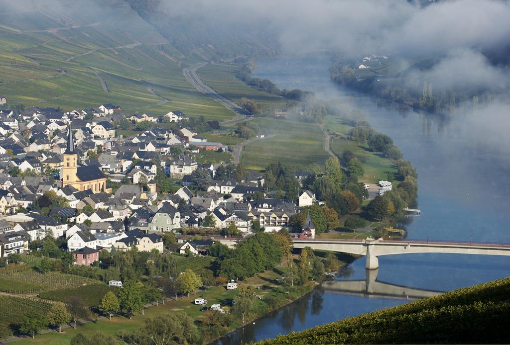 Weingut & Gaestehaus Edwin Hoffmann トリッテンハイム エクステリア 写真