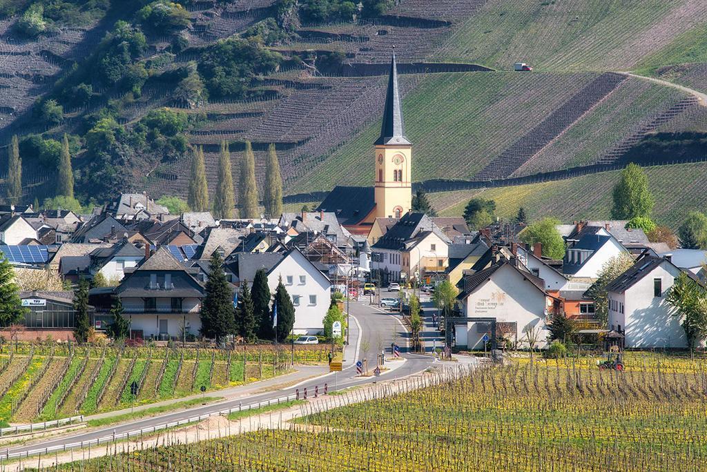 Weingut & Gaestehaus Edwin Hoffmann トリッテンハイム エクステリア 写真